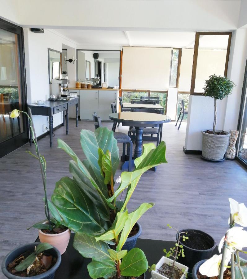 Swallows Nest Plett Plettenberg Bay Extérieur photo